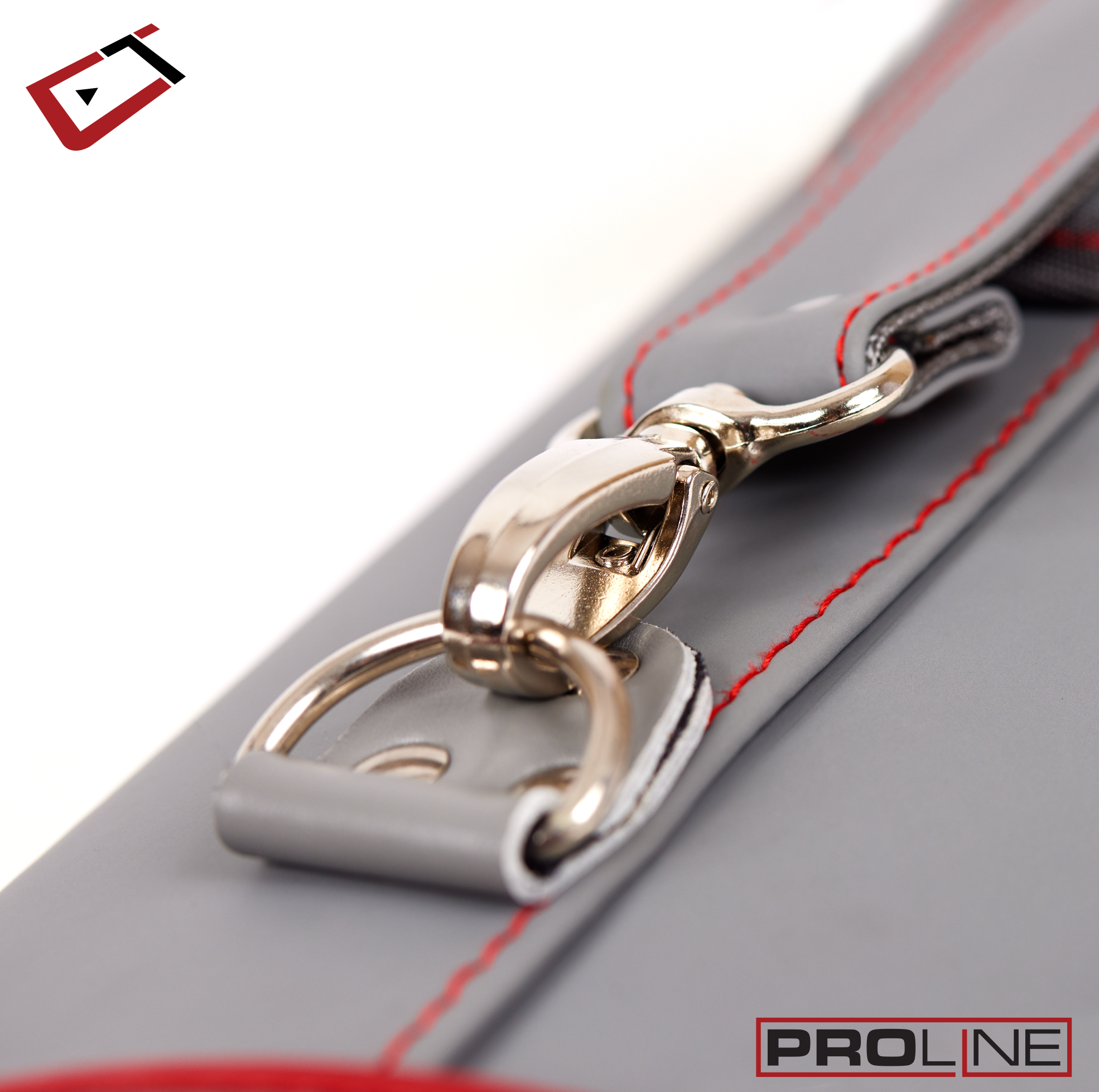 ÉTUI POUR BAGUETTE DE BILLARD CUETEC PROLINE 2 MANCHES 4 FLÈCHES GRIS