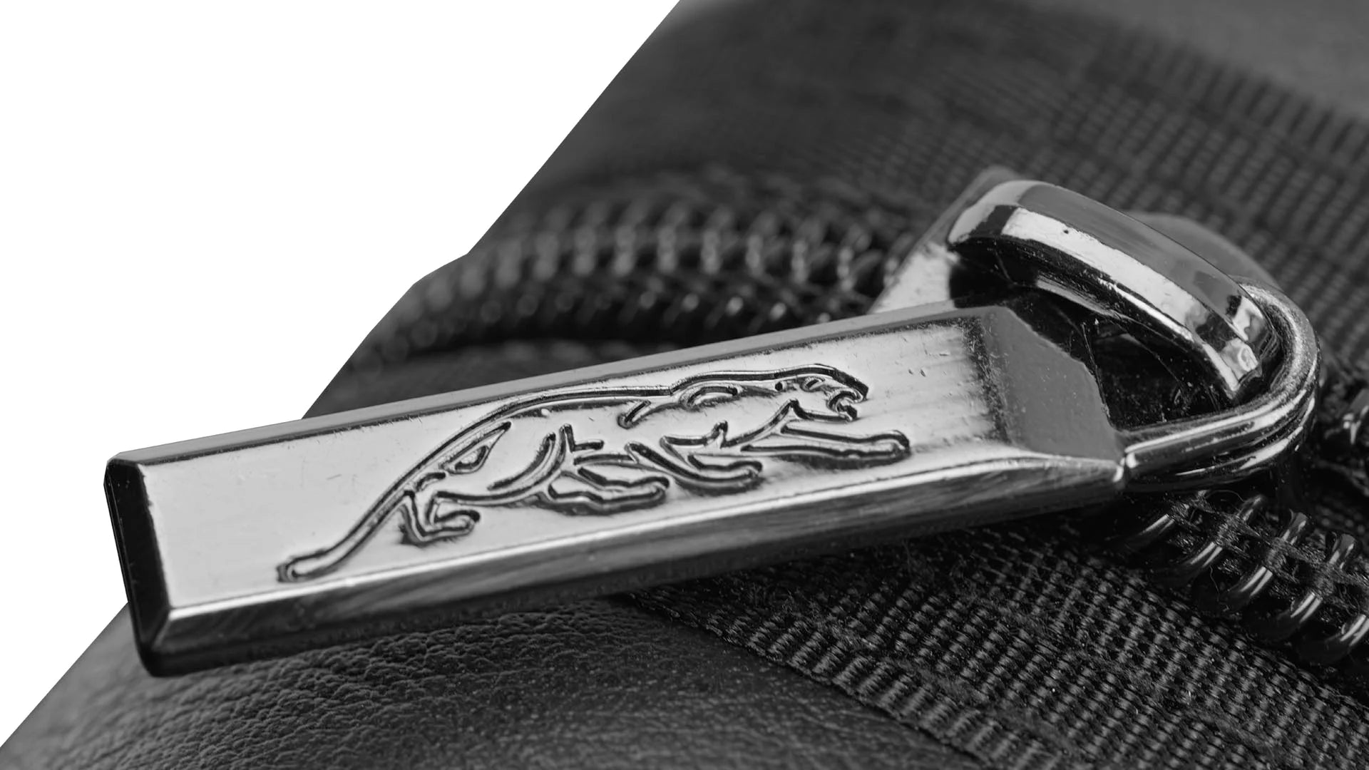 ÉTUI PREDATOR ROADLINE NOIR ET OR 2M/4F